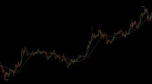crescimento do bitcoin