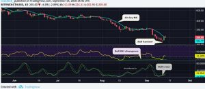 Webitcoin: Ether exibe seu volume mais alto de troca dos últimos 12 meses