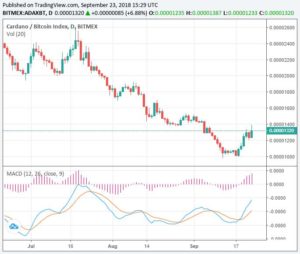 Webitcoin: Stellar avança 19% e Cardano avança 8%: maiores ganhos das últimas 24 horas