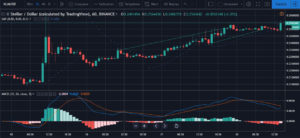 Webitcoin: Stellar surpreende e apresenta ganhos mesmo com o retorno dos ursos