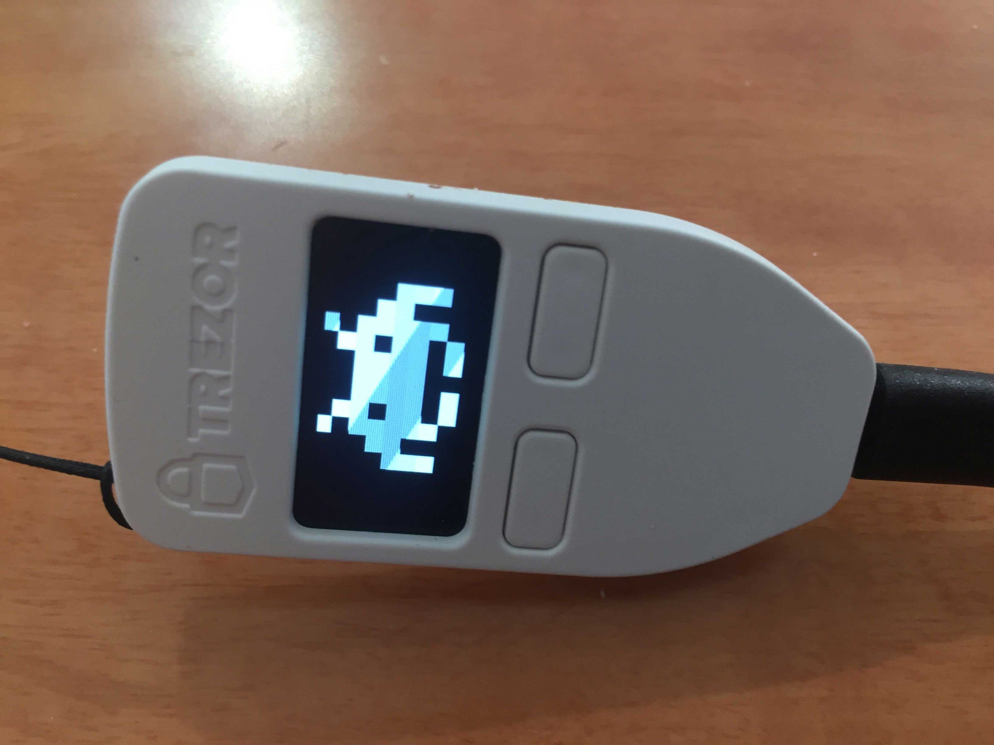 Webitcoin: Cuidado: Trezor descobre cópias "fiéis" de sua carteira Trezor One