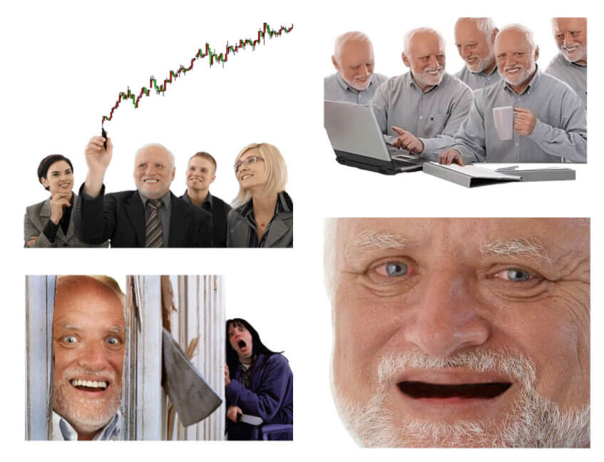 Webitcoin: Cripto Memes: os únicos ativos que sobrevivem em um mercado vacilante