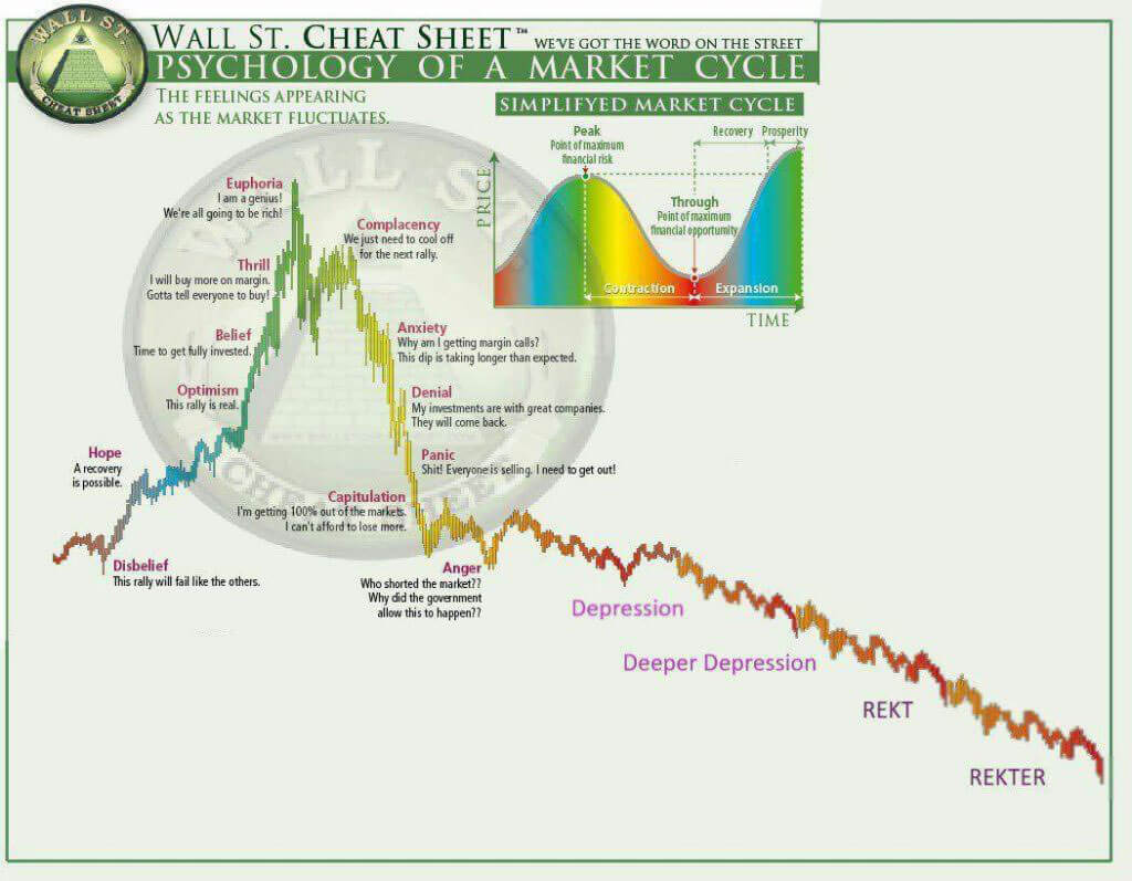 Webitcoin: Cripto Memes: os únicos ativos que sobrevivem em um mercado vacilante