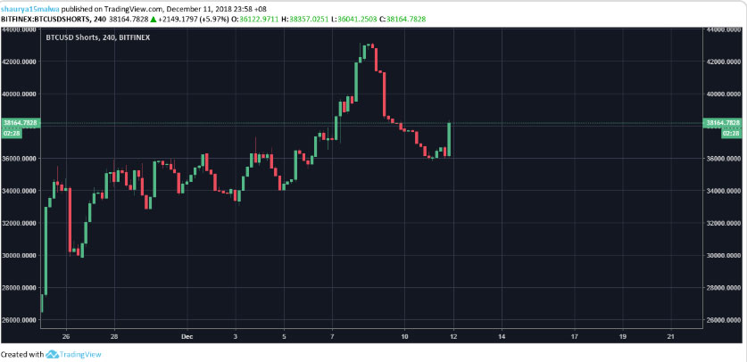 Webitcoin: Posições em short de Bitcoin atingem suas marcas mais altas: short squeeze a caminho?