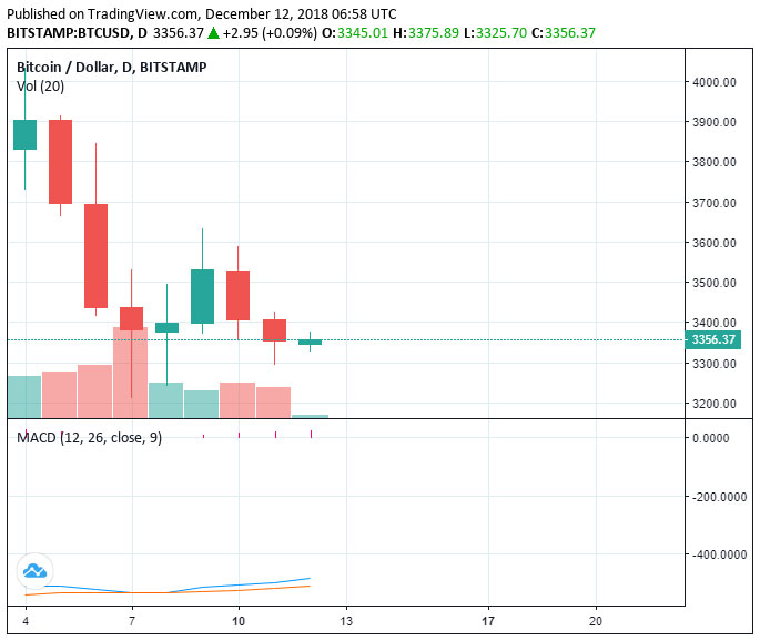 Webitcoin: Bitcoin escorrega de novo: afinal, há risco de chegar em US$2500?