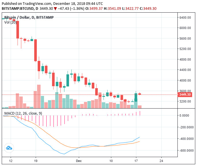 Webitcoin: EOS avança 35% durante grande recuperação do mercado!