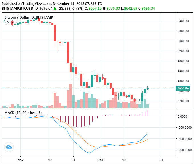 Webitcoin: Bitcoin avança 18% em três dias: para onde vai o mercado?