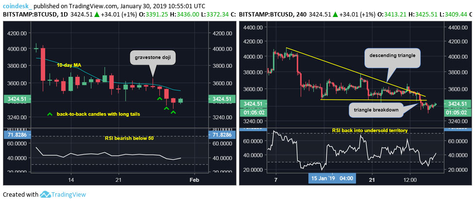 Webitcoin: Bitcoin se recupera, mas ursos continuam inabalados