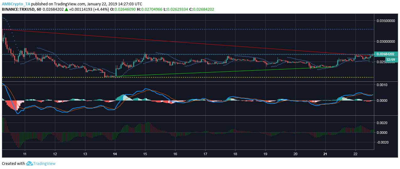 Webitcoin: Análise: ursos pressionam a Tron e tentando tirar os touros de cena 