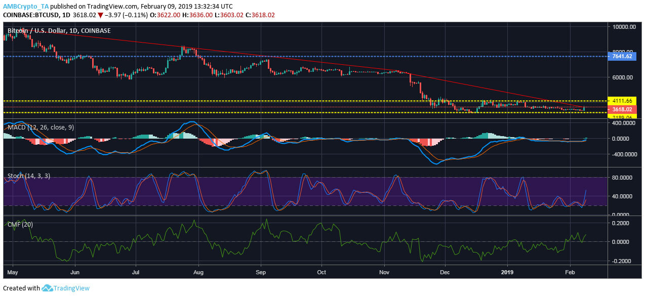 Webitcoin: O sol volta a brilhar para o Bitcoin neste domingo