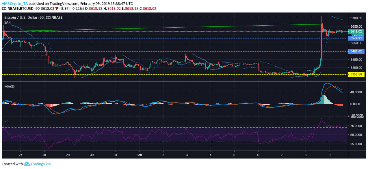 Webitcoin: O sol volta a brilhar para o Bitcoin neste domingo
