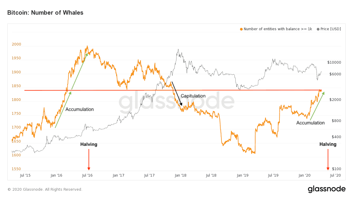 gráfico para baleias de bitcoin