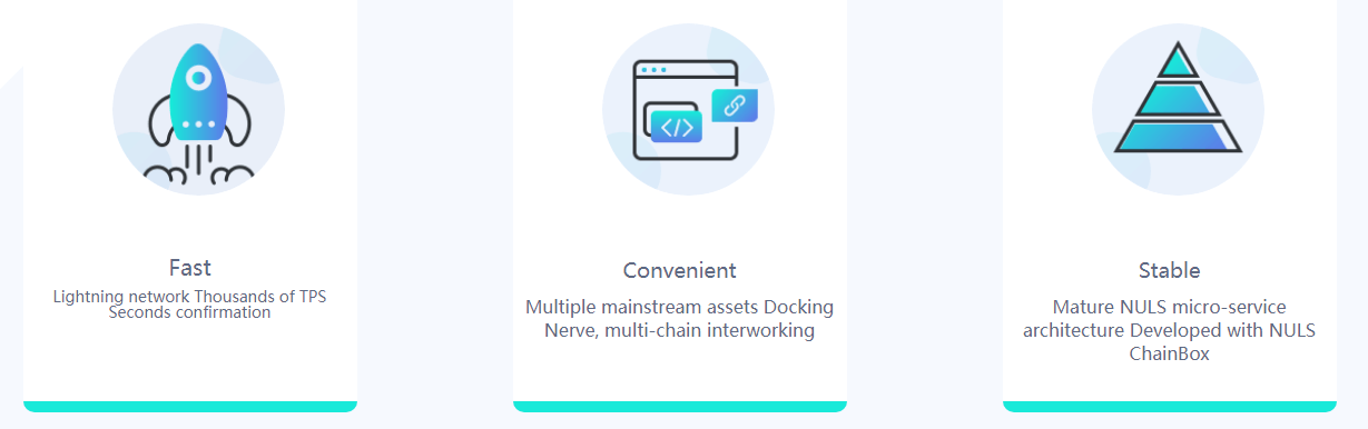 NerveNetwork