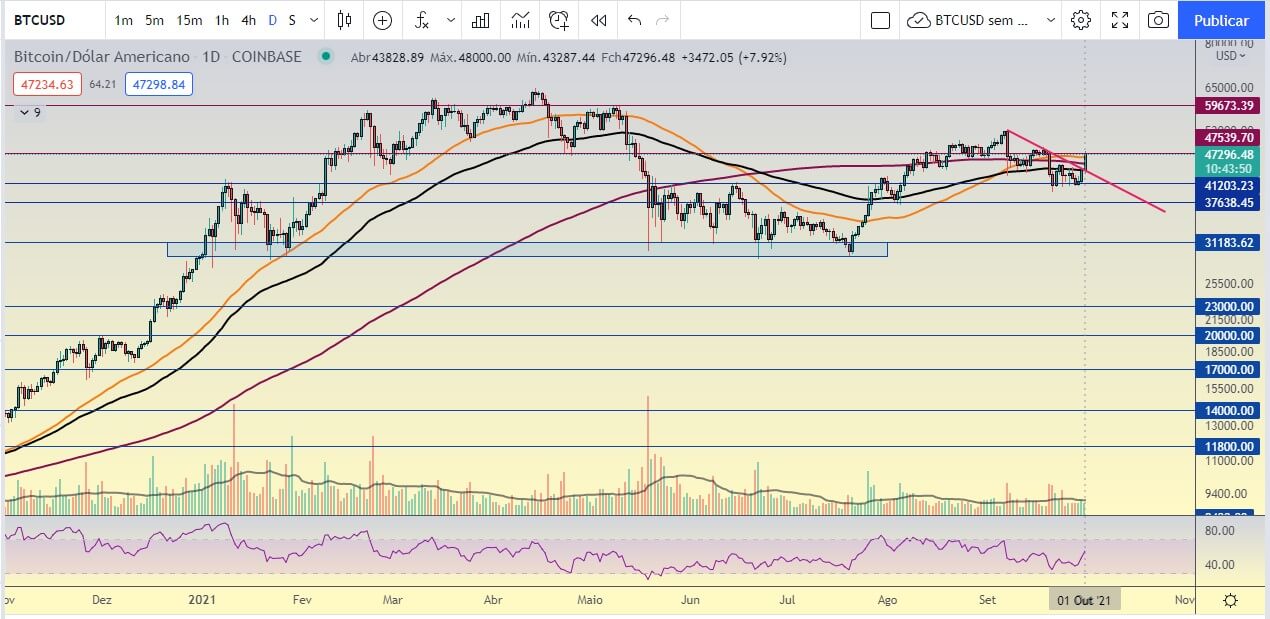 Bitcoin Malvadão subindo
