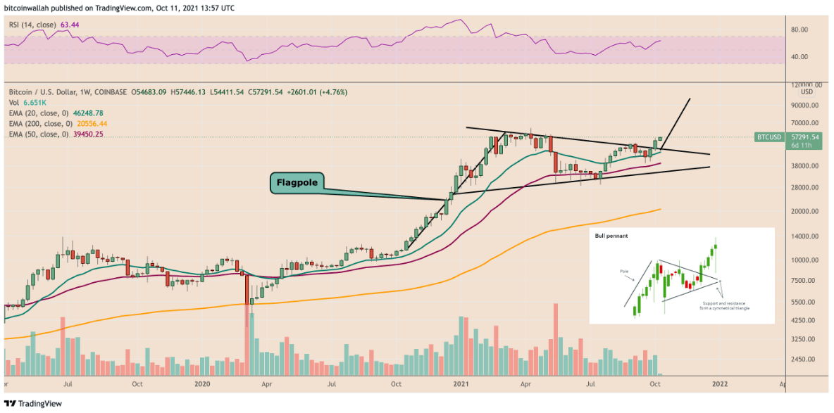Bitcoin Bull