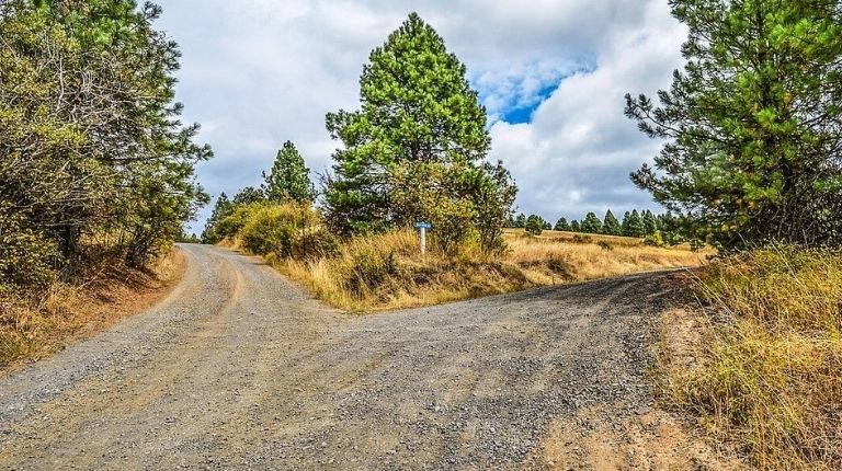 Criptomoedas: como os hard forks impactam essa indústria