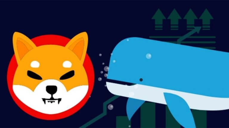 Shiba Inu