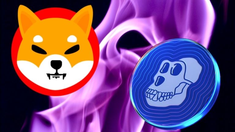 Shib Ape