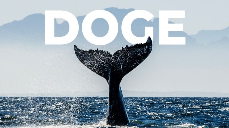 DOGECOIN