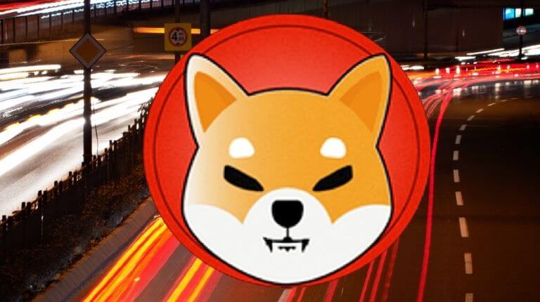 Shiba