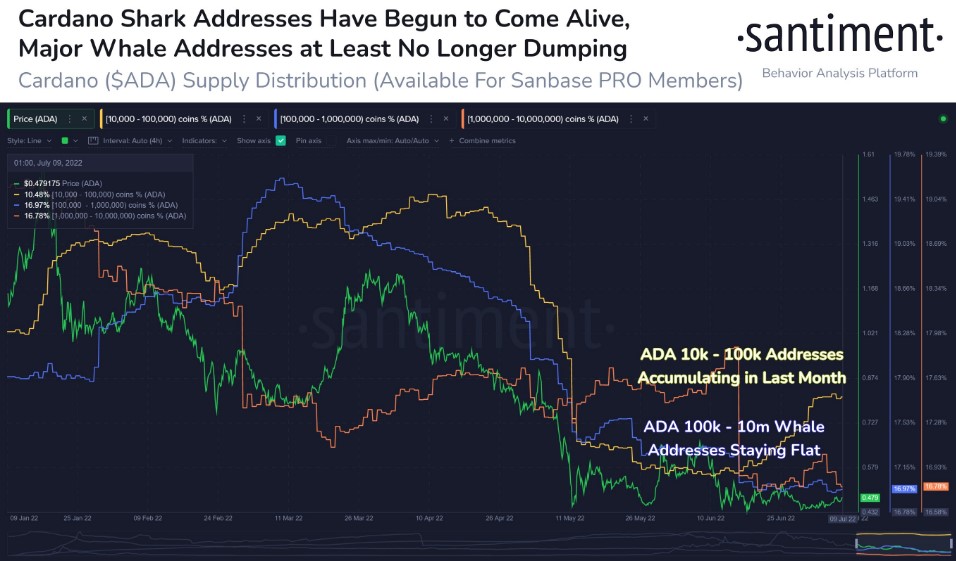 ADA