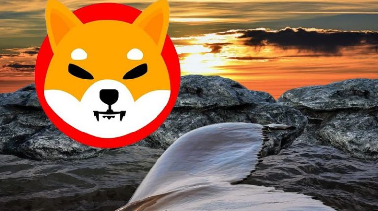 SHIB