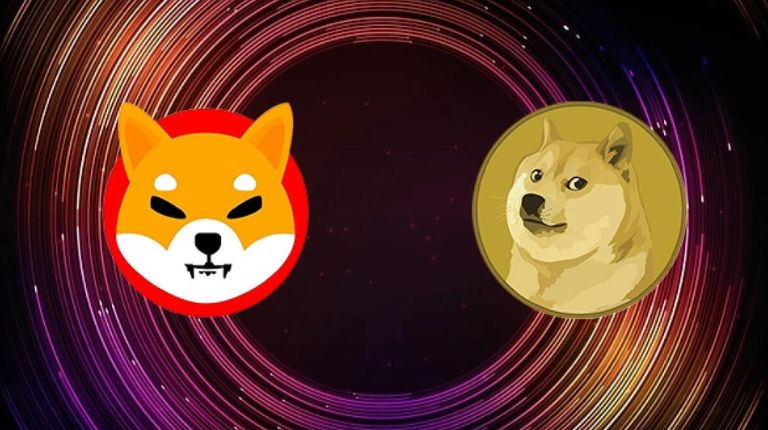 Shiba Inu
