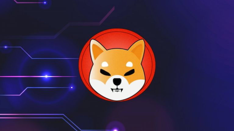 shiba Inu