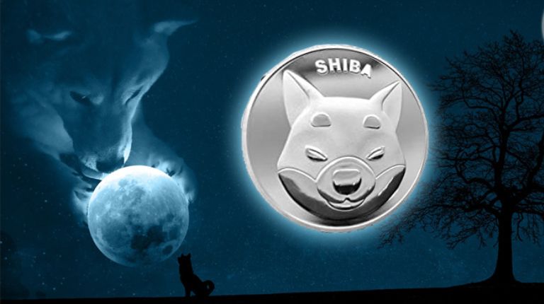 Shiba Inu