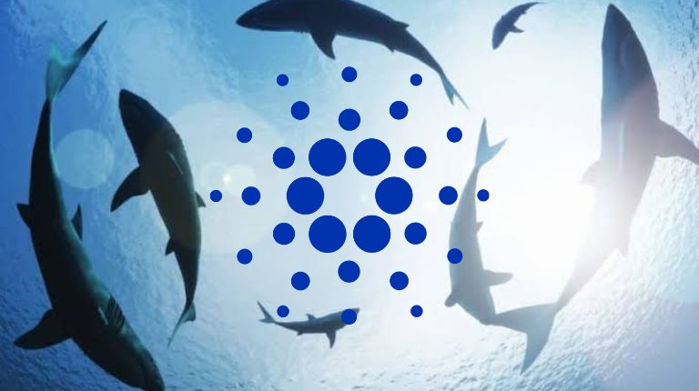 ADA Cardano