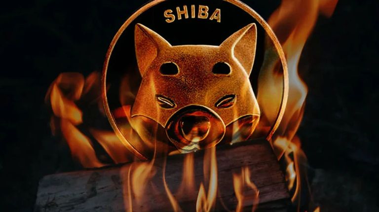 Shiba Inu