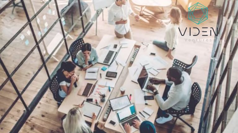Viden Ventures