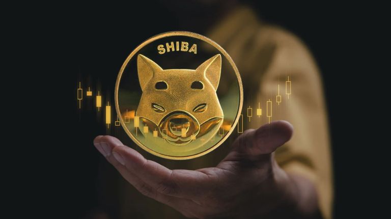 Shiba Inu