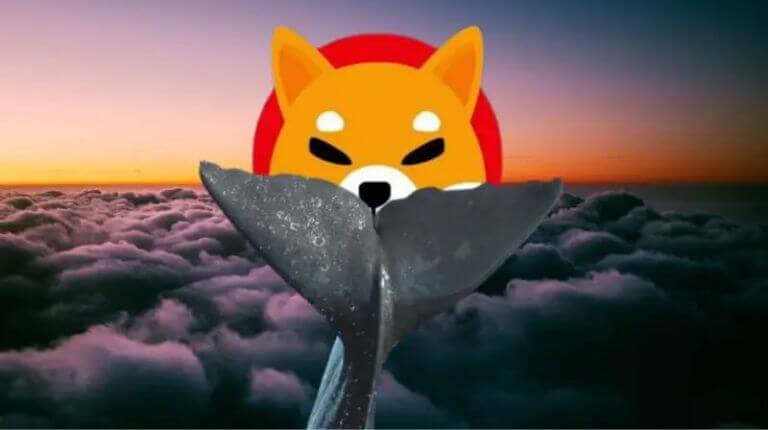 Shiba Inu