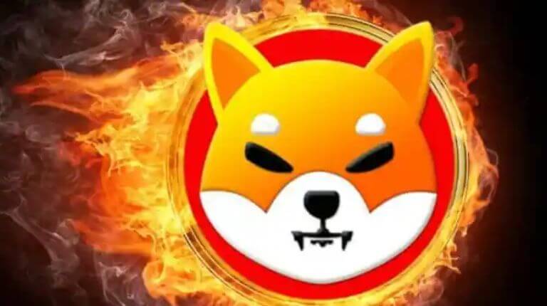 Queima Shiba Inu