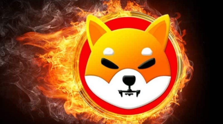 Shiba Inu