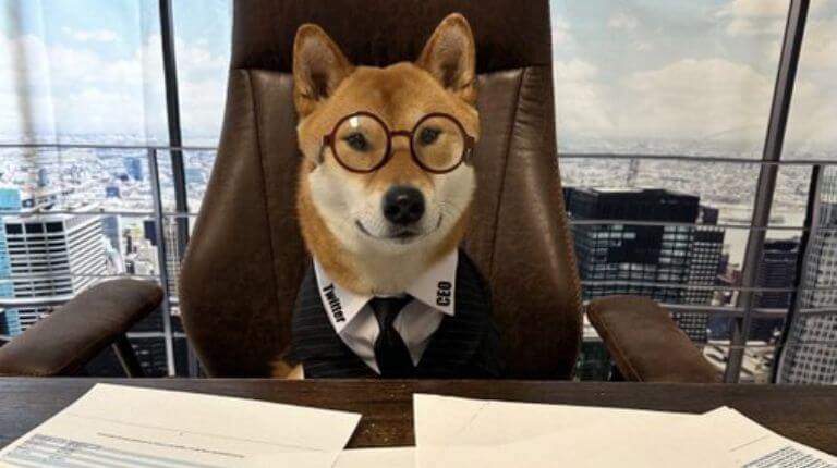 meme floki ceo