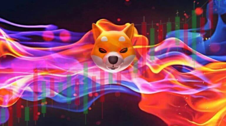 queima Shiba Inu