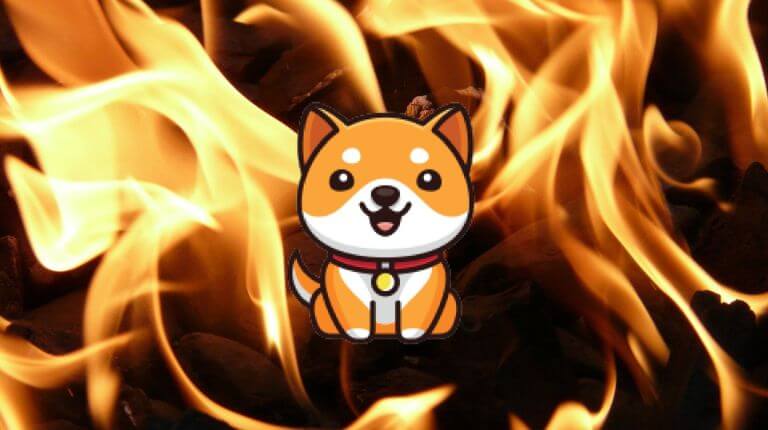 Baby Doge