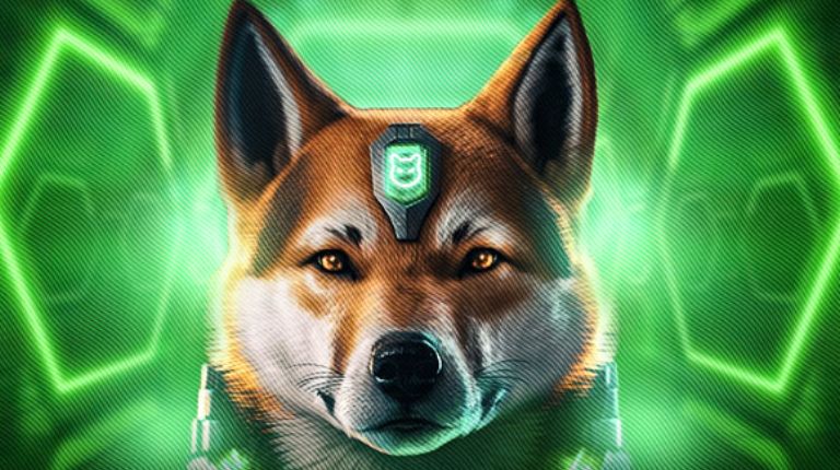 Shiba Inu