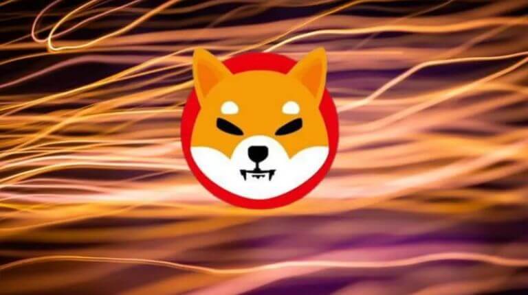 shiba inu