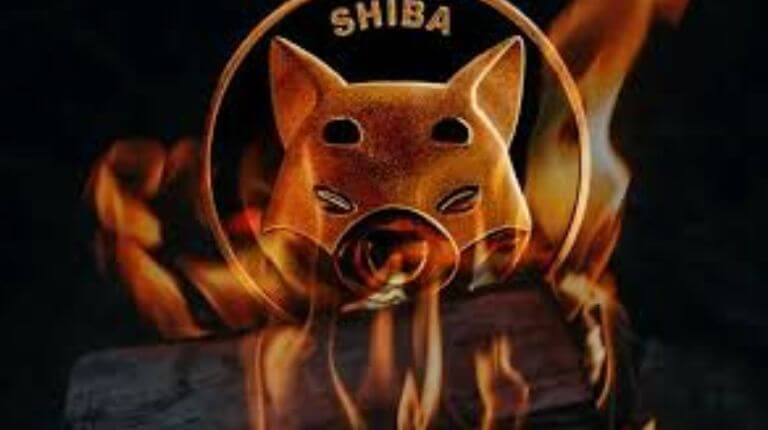 Shiba Inu