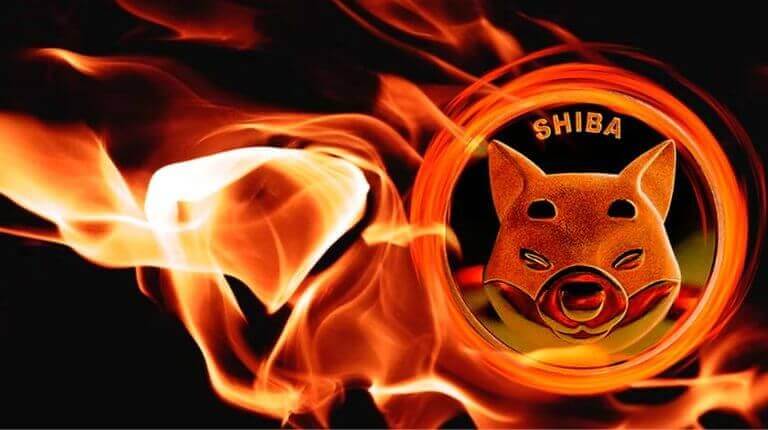 Shiba Inu