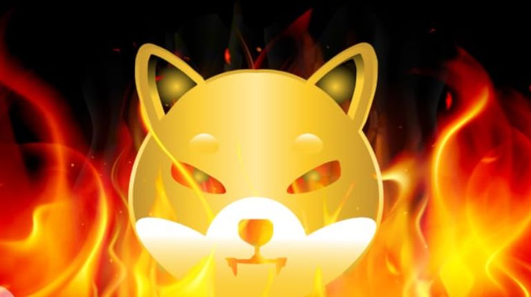 Shiba Inu