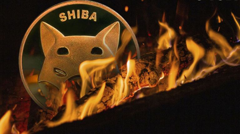 Shiba Inu