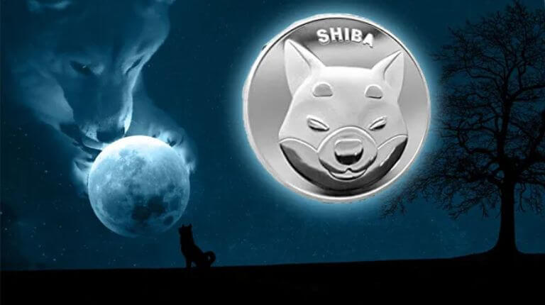 Shiba Inu