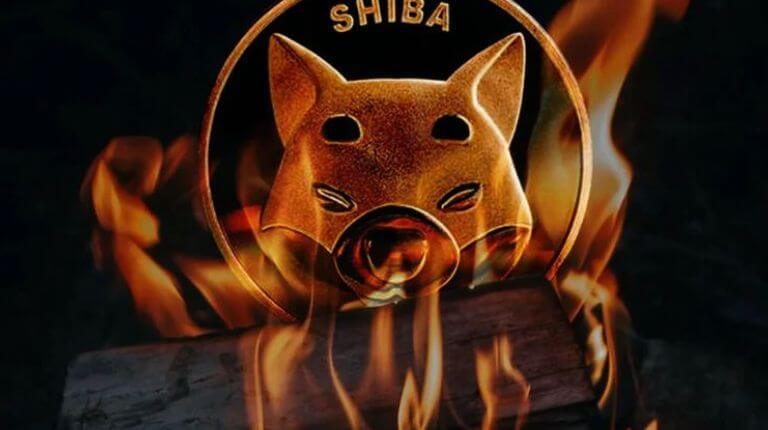 Shiba Inu