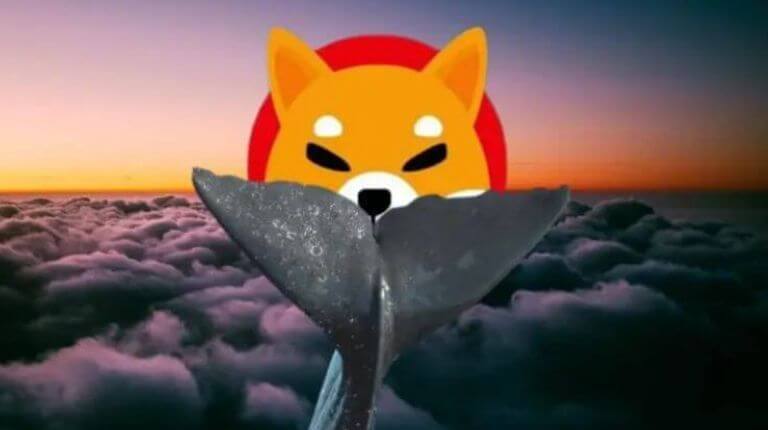 Shiba Inu