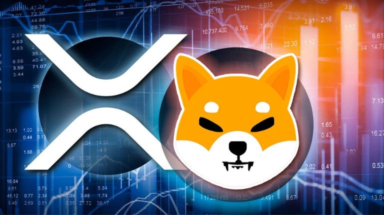 XRP Shiba