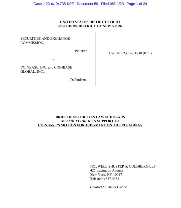 Documento AMICUS